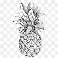 素描艺术菠萝形象菠萝画PNG线条艺术