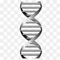 DNA载体图形核酸双螺旋遗传学科学符号png dna