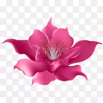 png图片剪辑艺术花卉水彩画图像-母亲节背景PNG顶部