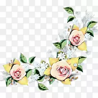 花卉设计，切花，花束，玫瑰家族