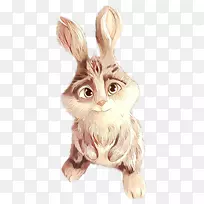 胡须，野兔，复活节兔子