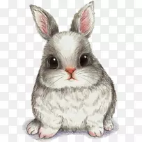 画水彩画艺术形象-可爱的兔子画PNG素描