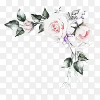 水彩画花园玫瑰插图-免费绘画鲜花PNG画
