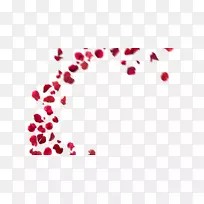 png图片插花艺术花瓣花卉设计-红玫瑰背景PNG最佳