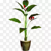 花卉剪贴画植物茎png图片叶
