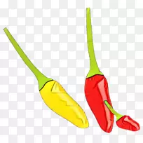 塔巴斯科胡椒，红辣椒，甜椒和辣椒