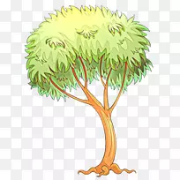 棕榈树剪贴画植物茎枝