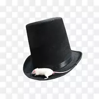 康纳帽子男式蒸汽朋克羊毛大帽png图片电脑鼠标顶帽