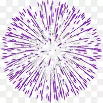 线字体紫色点图案