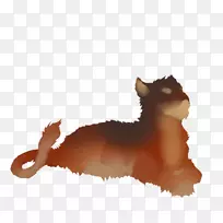 胡须，小猫，古老的英国牧羊犬，繁殖狮子母狮