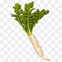 台康png图片剪辑艺术蔬菜食品.萝卜