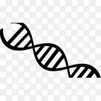 DNA透明核酸双螺旋剪贴画