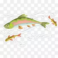 虹鳟鱼图形图片-虹鳟鱼PNG剪贴画