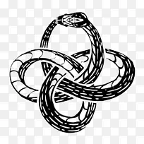 Ouroboros大毒蛇绘画剪辑艺术摄影.Oroboros Png蛇食