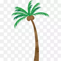 棕榈树亚洲棕榈插图图片椰子树-棕榈树