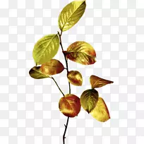 叶枝png图片剪辑艺术树-紫罗兰