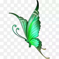 如何画蝴蝶彩色铅笔素描