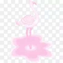 粉红色m型喙颈水鸟