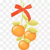 克莱门汀，橘子，葡萄柚