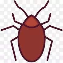 蟑螂图形插图蚊子