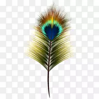 剪贴画孔雀png图片图像羽毛复活节兔子透明的PNG剪贴画