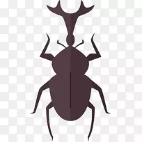 昆虫图形计算机图标插图