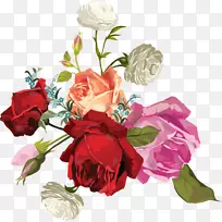 花园玫瑰、卷心菜、玫瑰、花束、切花-玫瑰透明蓬松花束