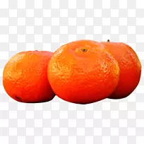 橘子，png图片，橘子-波尔塔卡尔