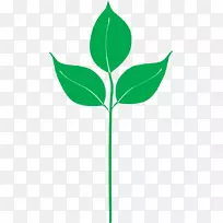 剪贴画植物茎叶开花植物线-指定剪影