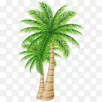棕榈树枣掌上png图片椰子剪贴画