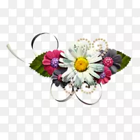 特兰士瓦雏菊切花花型花束