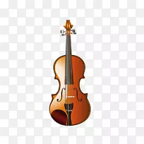 弥赛亚小提琴：可靠的历史？乐器中提琴