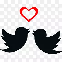 菲舍尔的爱鸟剪贴画图形鹦鹉-黑色心脏剪贴画PNG翅膀