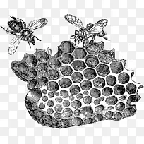 蜜蜂 蜂巢 古董