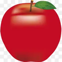 苹果 麦金托什红 水果