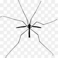 昆虫 蚊子 蚂蚁