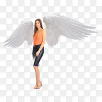 天使 白色 翅膀