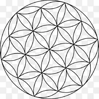 重叠圆网格 曼荼罗 神圣几何