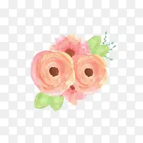 花卉 花园玫瑰 水彩画