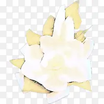 切花 花朵 白色