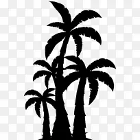 剪影 棕榈树 树