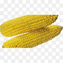 玉米棒上的玉米 甜玉米 凹痕玉米