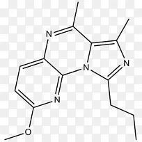 荧光素酶 角 氨基酸