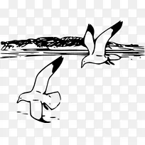 海鸥 鸟 线条艺术