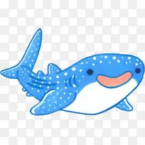 鲨鱼 鲸鲨 鲸鱼