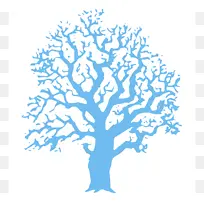 树 绘图 白橡树