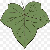 叶子 绿色 植物茎
