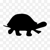 乌龟 剪影 爬行动物