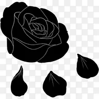 花园玫瑰 玫瑰 黑玫瑰