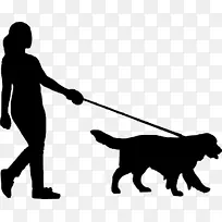 狗 遛狗 散步